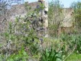 /album/cernik-04-17-2010/dscf1074-jpg/