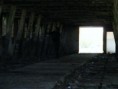 /album/cernik-04-17-2010/dscf1110-jpg/